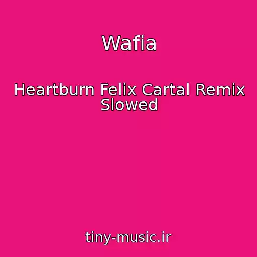 کاور آهنگ Wafia از Heartburn Felix Cartal Remix Slowed