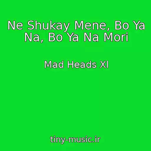 کاور آهنگ Ne Shukay Mene, Bo Ya Na, Bo Ya Na Morі از Mad Heads Xl