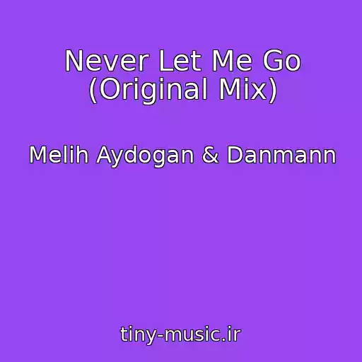 کاور آهنگ Never Let Me Go (Original Mix) از Melih Aydogan & Danmann