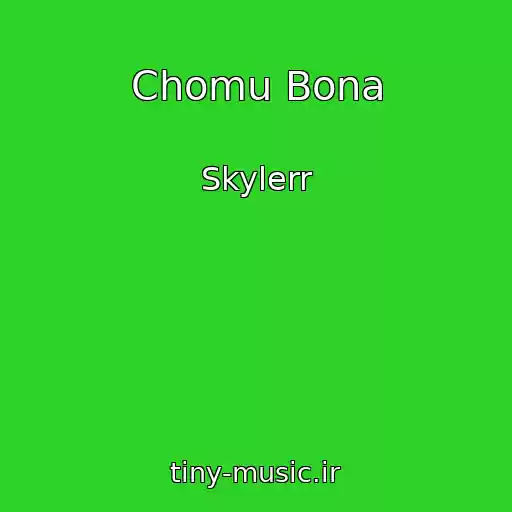کاور آهنگ Chomu Bona از Skylerr