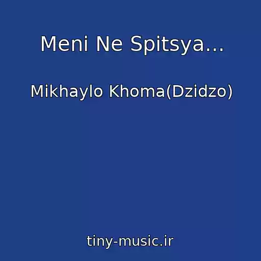 کاور آهنگ Menі Ne Spitsya... از Mikhaylo Khoma(Dzіdzo)
