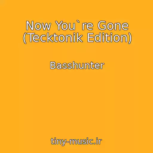 کاور آهنگ Now You`re Gone (Tecktonik Edition) از Basshunter