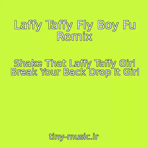کاور آهنگ Laffy Taffy Fly Boy Fu Remix از Shake That Laffy Taffy Girl Break Your Back Drop It Girl