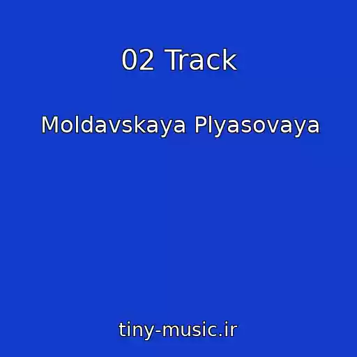 کاور آهنگ 02 Track از Moldavskaya Plyasovaya