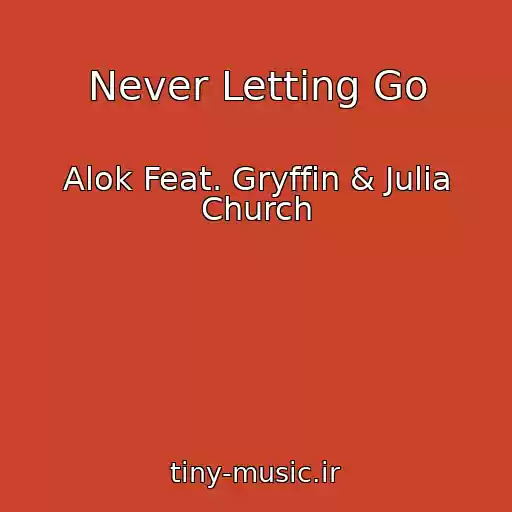کاور آهنگ Never Letting Go از Alok Feat. Gryffin & Julia Church