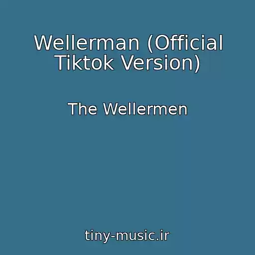 کاور آهنگ Wellerman (Official Tiktok Version) از The Wellermen