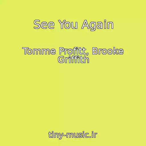 کاور آهنگ See You Again از Tomme Profitt, Brooke Griffith