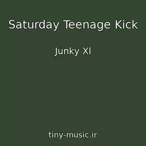کاور آهنگ Saturday Teenage Kick از Junky Xl