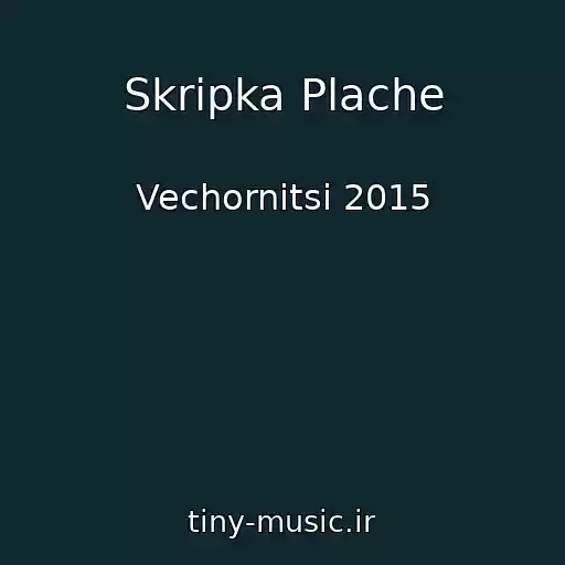 کاور آهنگ Skripka Plache از Vechornitsі 2015