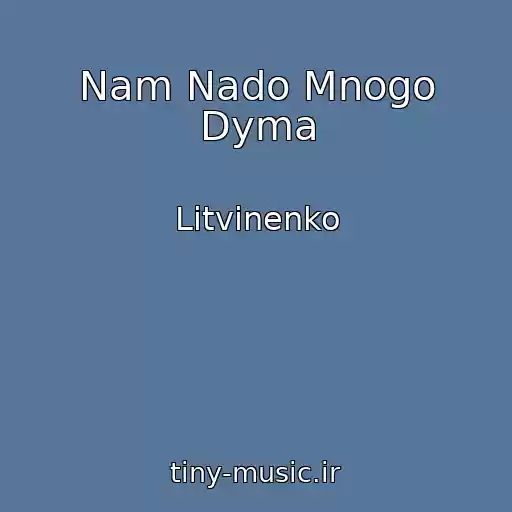 کاور آهنگ Nam Nado Mnogo Dyma از Litvinenko