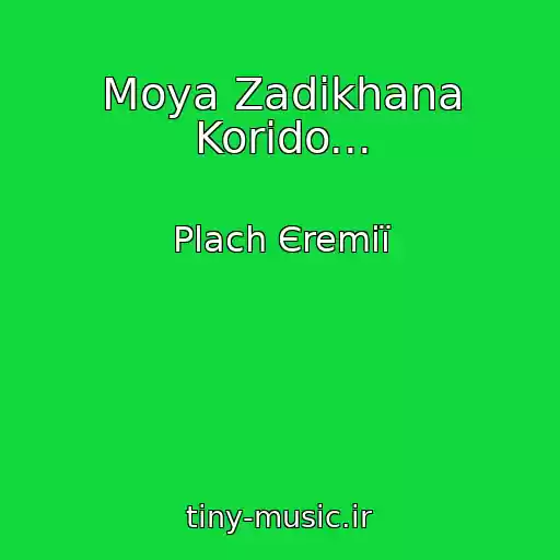 کاور آهنگ Moya Zadikhana Korido... از Plach Єremії