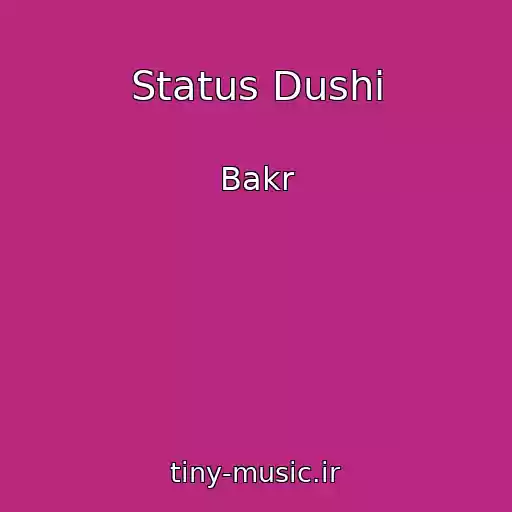 کاور آهنگ Status Dushi از Bakr