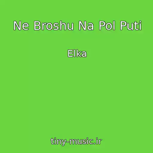 کاور آهنگ Ne Broshu Na Pol Puti از Elka