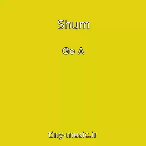 کاور آهنگ Shum از Go A
