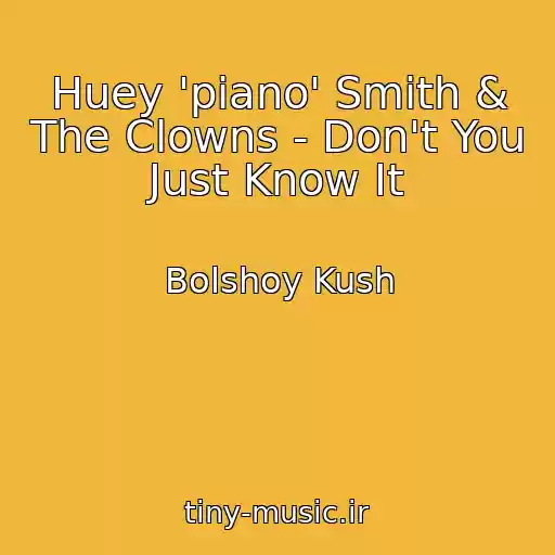 کاور آهنگ Huey 'piano' Smith & The Clowns - Don't You Just Know It از Bolshoy Kush