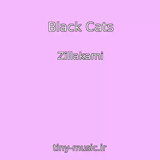 کاور آهنگ Black Cats از Zillakami