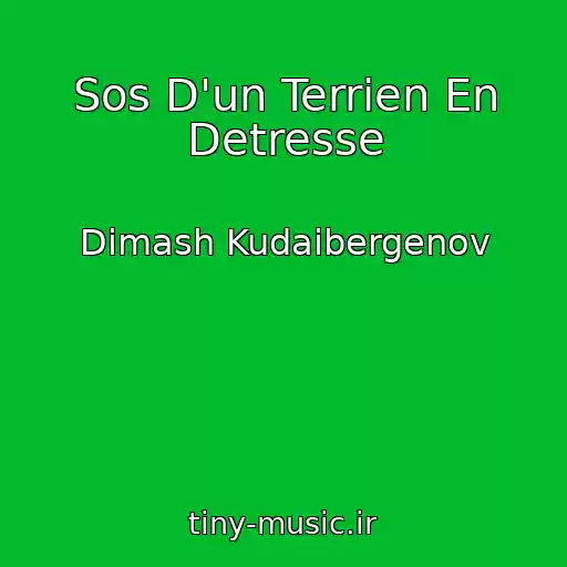 کاور آهنگ Sos D'un Terrien En Detresse از Dimash Kudaibergenov