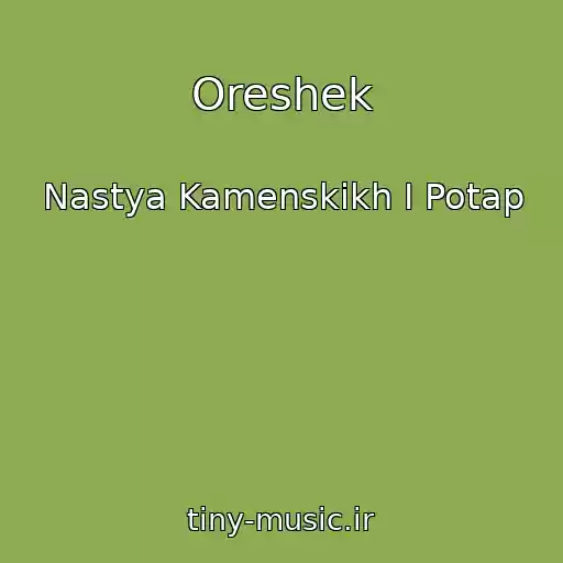 کاور آهنگ Oreshek از Nastya Kamenskikh I Potap