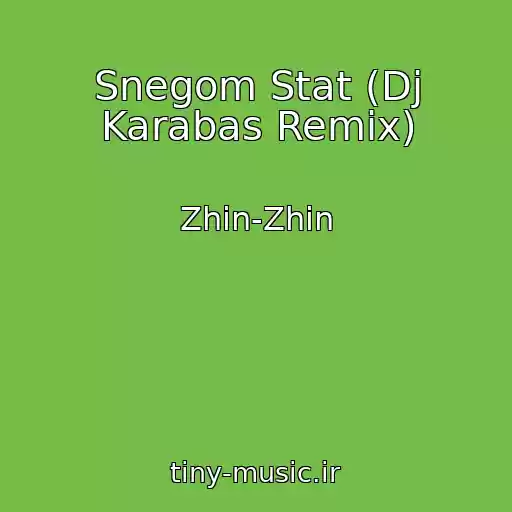 کاور آهنگ Snegom Stat (Dj Karabas Remix) از Zhin-Zhin