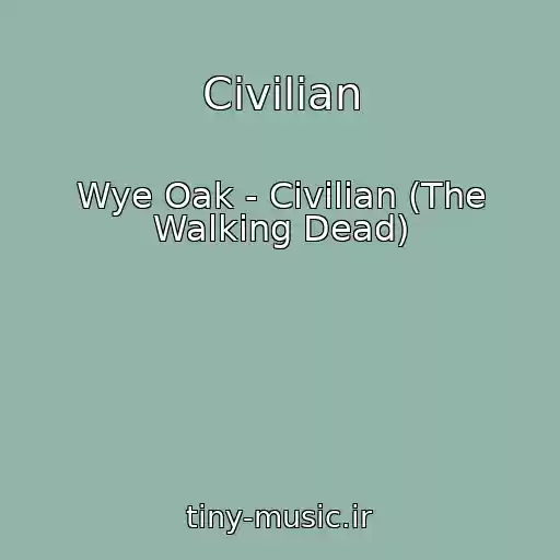 کاور آهنگ Civilian از Wye Oak - Civilian (The Walking Dead)