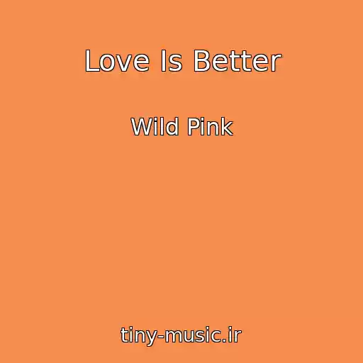 کاور آهنگ Love Is Better از Wild Pink