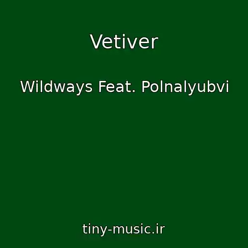 کاور آهنگ Vetiver از Wildways Feat. Polnalyubvi
