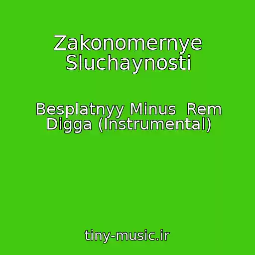 کاور آهنگ Zakonomernye Sluchaynosti از Besplatnyy Minus  Rem Digga (Instrumental)