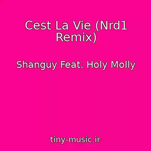 کاور آهنگ Cest La Vie (Nrd1 Remix) از Shanguy Feat. Holy Molly