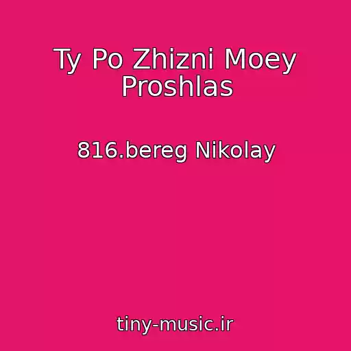 کاور آهنگ Ty Po Zhizni Moey Proshlas از 816.bereg Nikolay