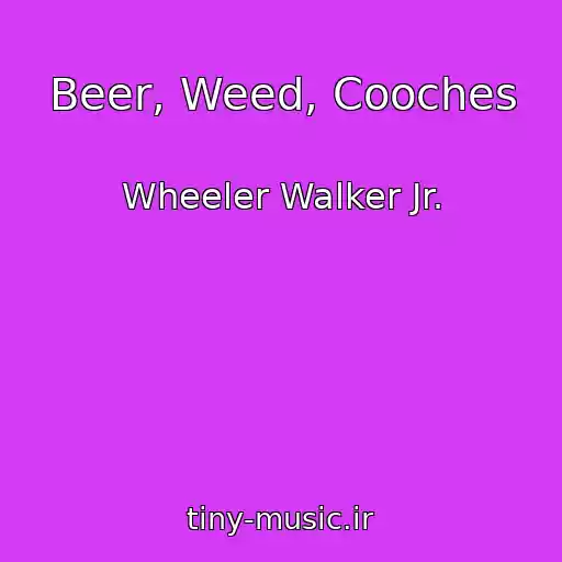کاور آهنگ Beer, Weed, Cooches از Wheeler Walker Jr.