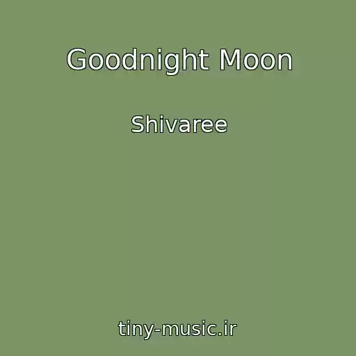 کاور آهنگ Goodnight Moon از Shivaree