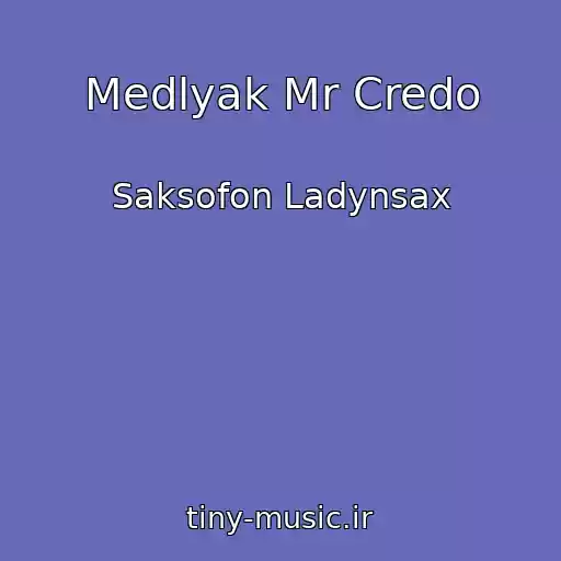 کاور آهنگ Medlyak Mr Credo از Saksofon Ladynsax