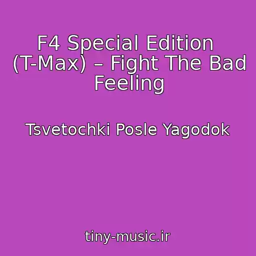کاور آهنگ F4 Special Edition  (T-Max) – Fight The Bad Feeling از Tsvetochki Posle Yagodok