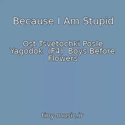 کاور آهنگ Because I Am Stupid از Ost Tsvetochki Posle Yagodok  (F4)  Boys Before Flowers