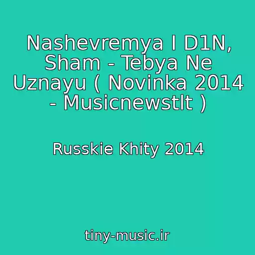 کاور آهنگ Nashevremya I D1N, Sham - Tebya Ne Uznayu ( Novinka 2014 - Musicnewstlt ) از Russkie Khity 2014