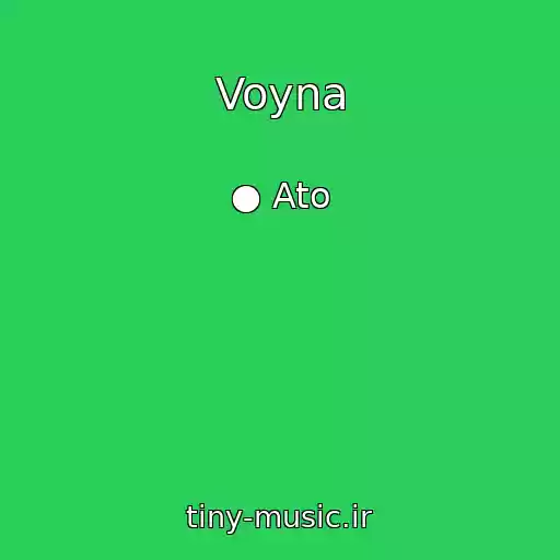 کاور آهنگ Voyna از ● Ato