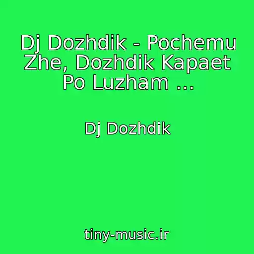 کاور آهنگ Dj Dozhdik - Pochemu Zhe, Dozhdik Kapaet Po Luzham ... از Dj Dozhdik