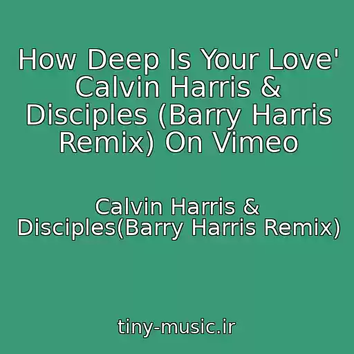 کاور آهنگ How Deep Is Your Love' Calvin Harris & Disciples (Barry Harris Remix) On Vimeo از Calvin Harris & Disciples(Barry Harris Remix)