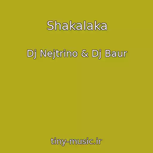 کاور آهنگ Shakalaka از Dj Nejtrino & Dj Baur