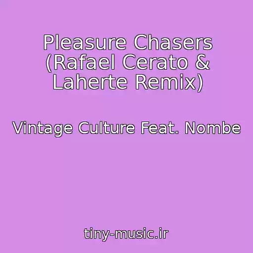 کاور آهنگ Pleasure Chasers (Rafael Cerato & Laherte Remix) از Vintage Culture Feat. Nombe