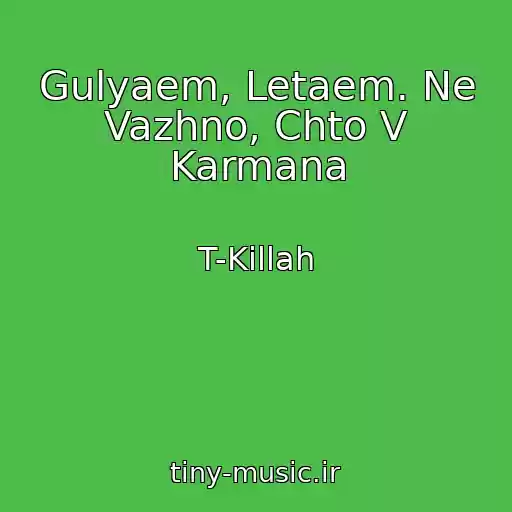 کاور آهنگ Gulyaem, Letaem. Ne Vazhno, Chto V Karmana از T-Killah