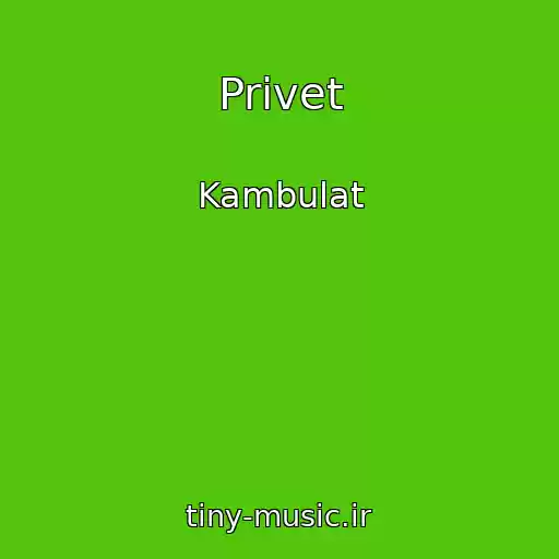 کاور آهنگ Privet از Kambulat