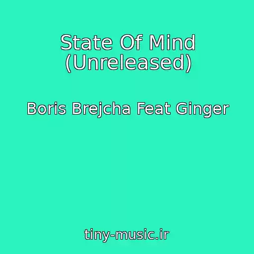 کاور آهنگ State Of Mind (Unreleased) از Boris Brejcha Feat Ginger