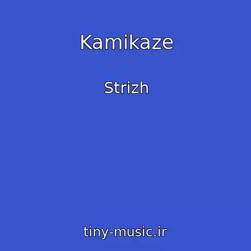 کاور آهنگ Kamikaze از Strizh