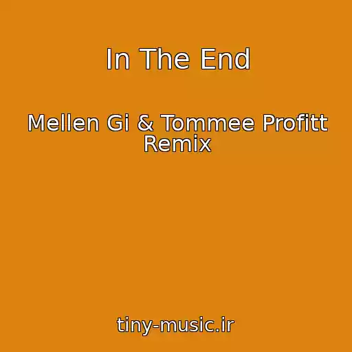 کاور آهنگ In The End از Mellen Gi & Tommee Profitt Remix