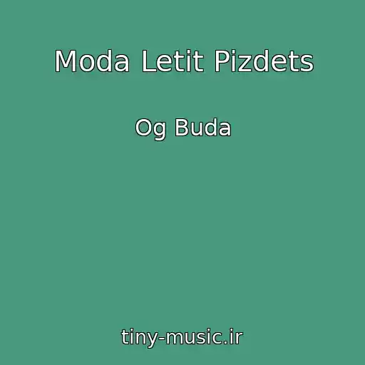 کاور آهنگ Moda Letit Pizdets از Og Buda