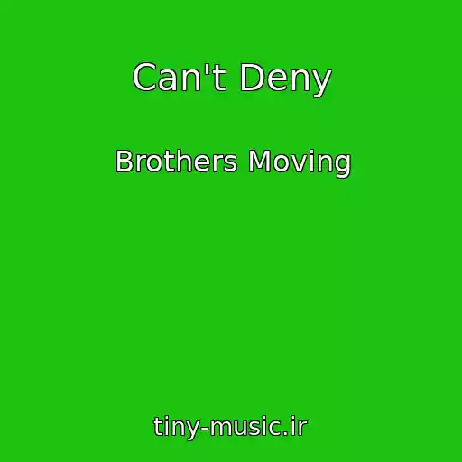 کاور آهنگ Can't Deny از Brothers Moving