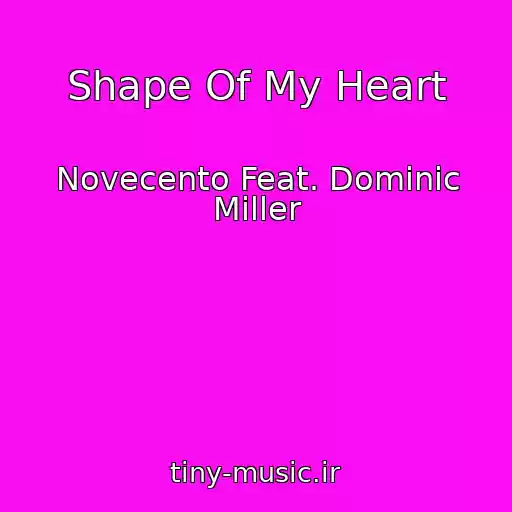 کاور آهنگ Shape Of My Heart از Novecento Feat. Dominic Miller