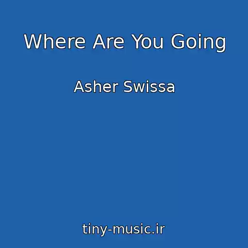 کاور آهنگ Where Are You Going از Asher Swissa