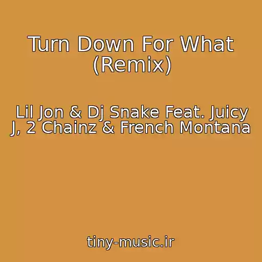 کاور آهنگ Turn Down For What (Remix) از Lil Jon & Dj Snake Feat. Juicy J, 2 Chainz & French Montana